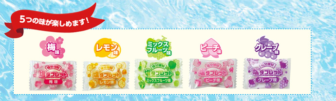 塩タブレット５兄弟 500g 袋入 10袋セット