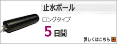 止水ボールロングレンタル5日間