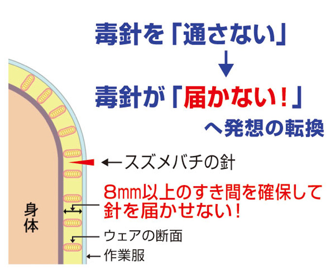 ウェア断面